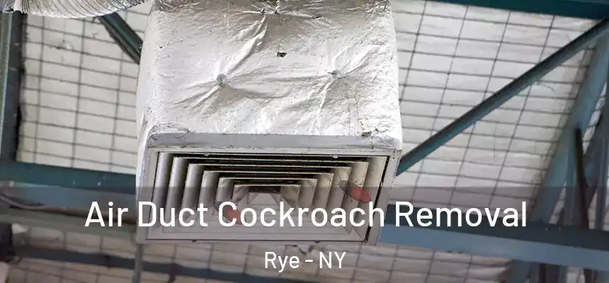 Air Duct Cockroach Removal Rye - NY