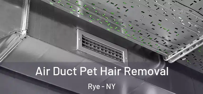  Air Duct Pet Hair Removal Rye - NY