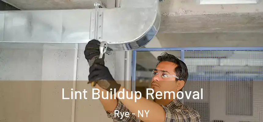 Lint Buildup Removal Rye - NY