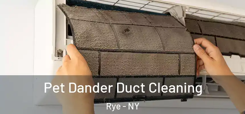 Pet Dander Duct Cleaning Rye - NY