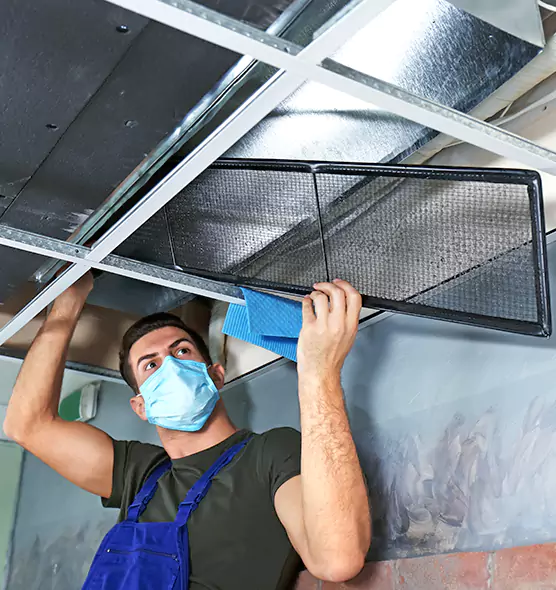 About Air Duct Bacteria Removal in Rye